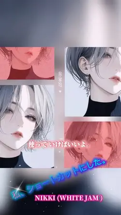 写真1枚〜複数枚　　