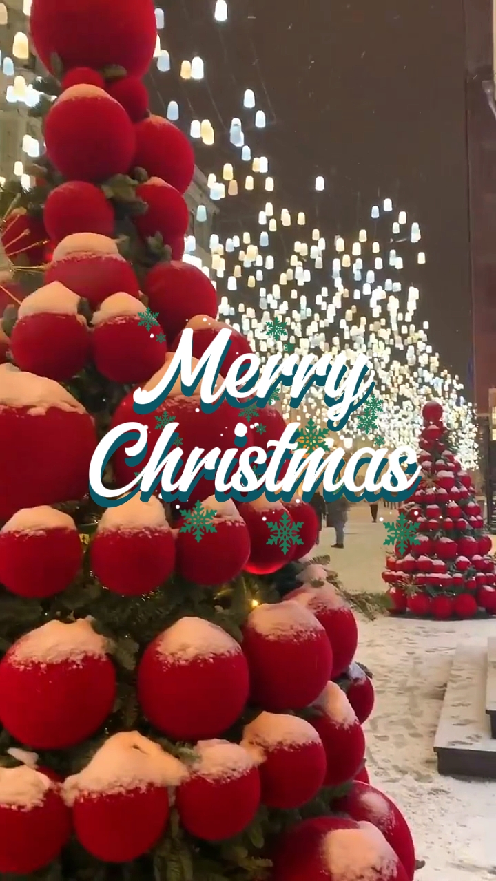 Merry Christmas 