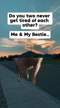 you two