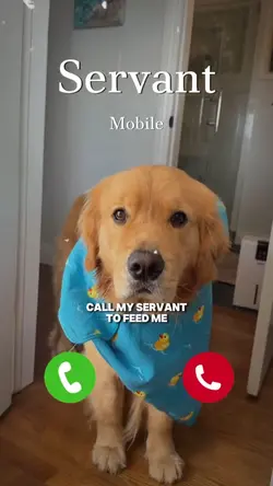 Call my servant