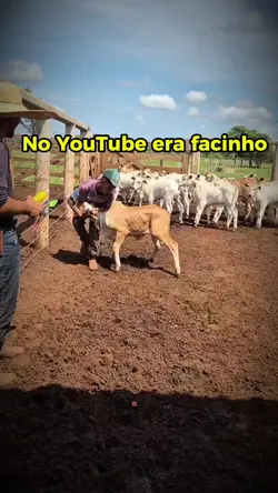 No YouTube era fácil