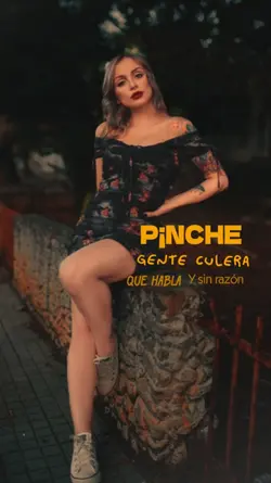 pinche gente culera 