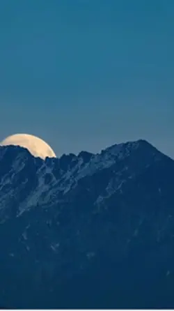 Surah Ghāfir - غافر