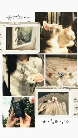 Aesthetic frame