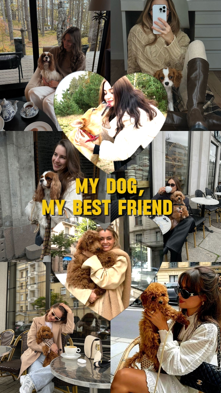 My Dog My Bestfriend