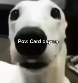 Cardday.mp4