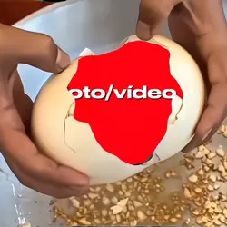 crie sua edit