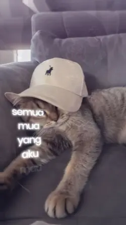 semua mua trend