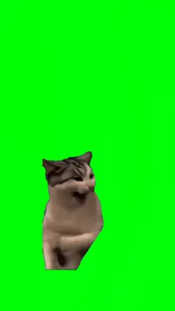Memes Greenscreen