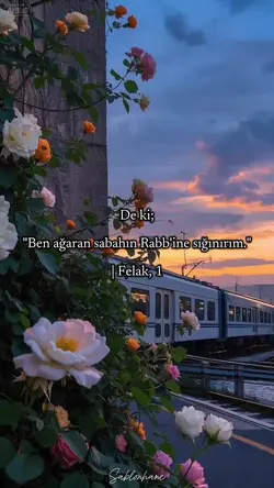 🌸