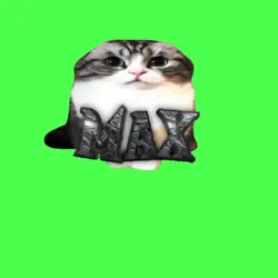 MAX 3DWATERMARK 