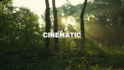 Cinematic Aesthetic