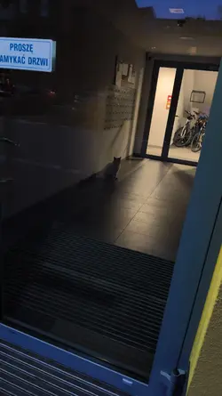tylkolegendypamiętaj