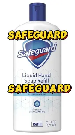 SAFEGUARD