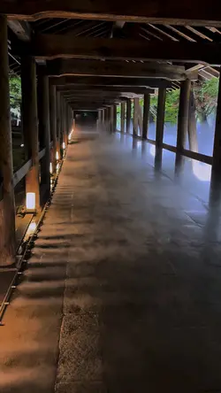 京都東福寺ライトアップイベント