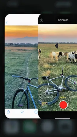 transisi 2 video 