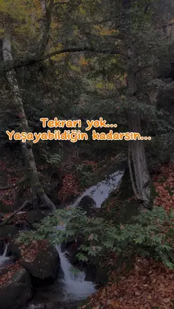 Tekrarı yok