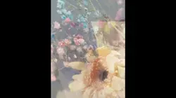 AI/つぐ姫