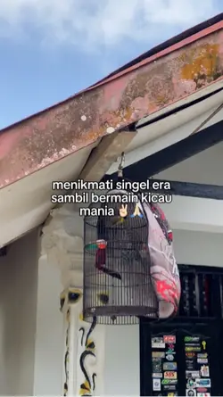 1klip kicaumani