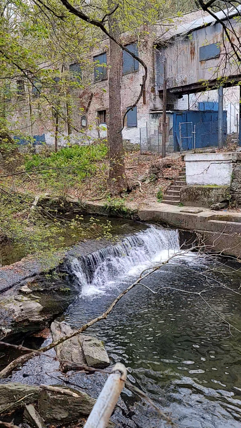 Doğa Videoları