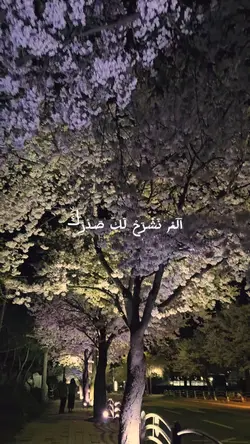 İnşirah Suresi 