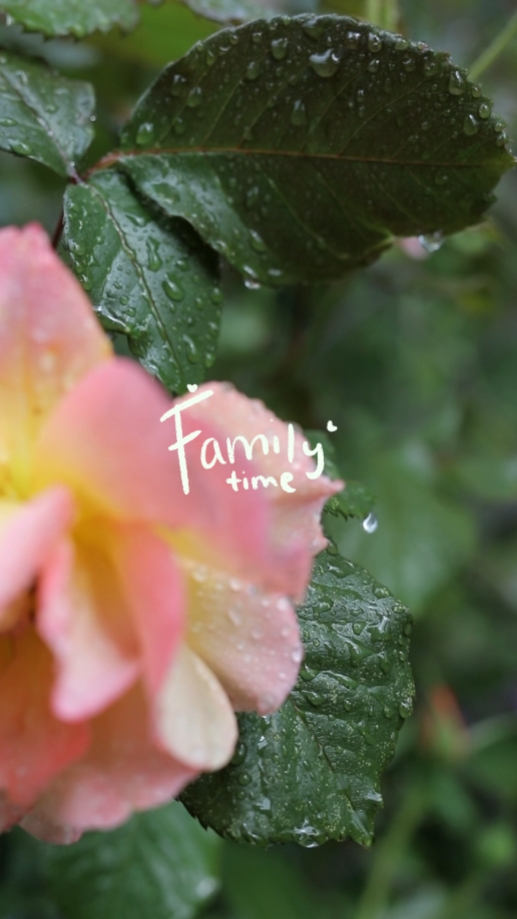 Family time vlog 