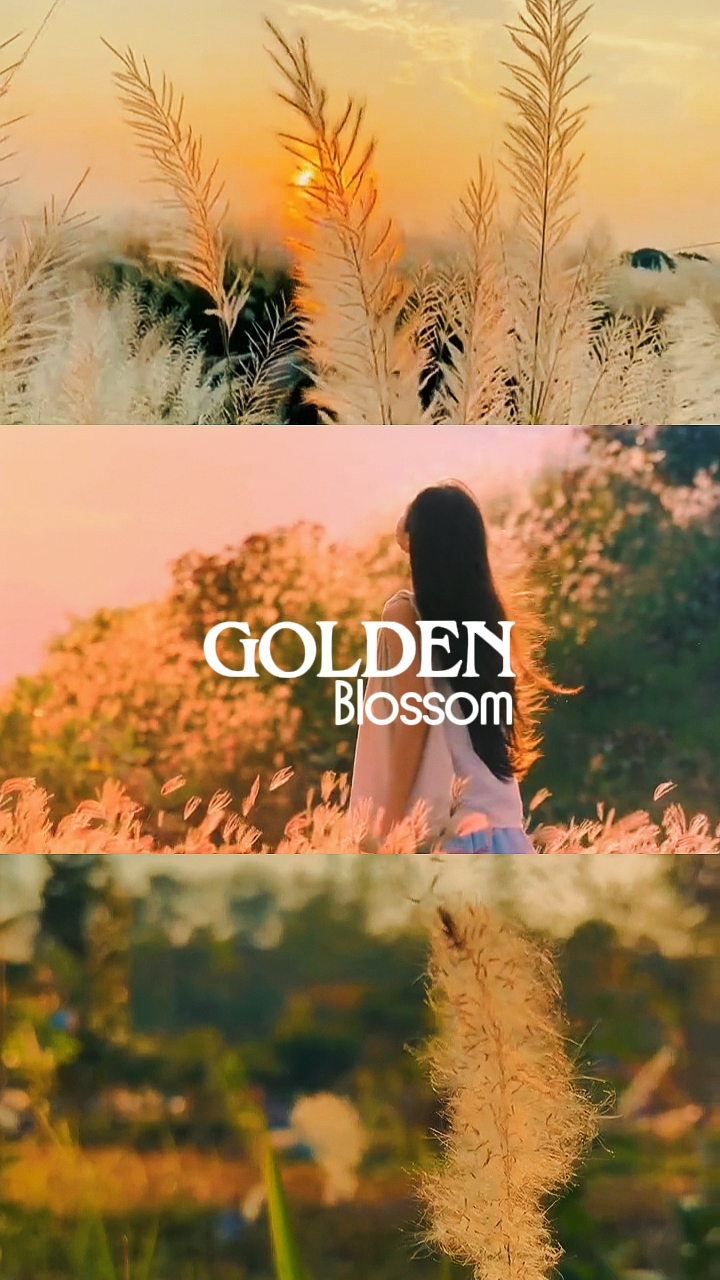 Golden blossom
