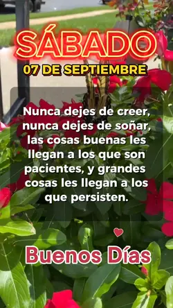 Buenos Días Frases 