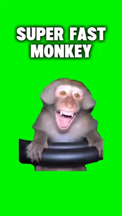 Super Fast Monkey 