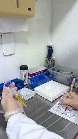Laboratório 