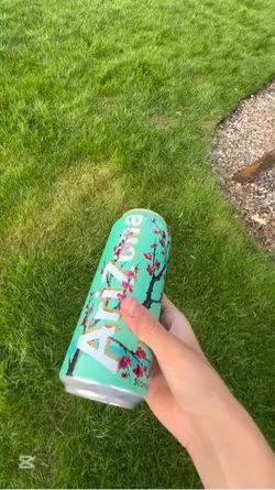 Squishy Dumpligs 