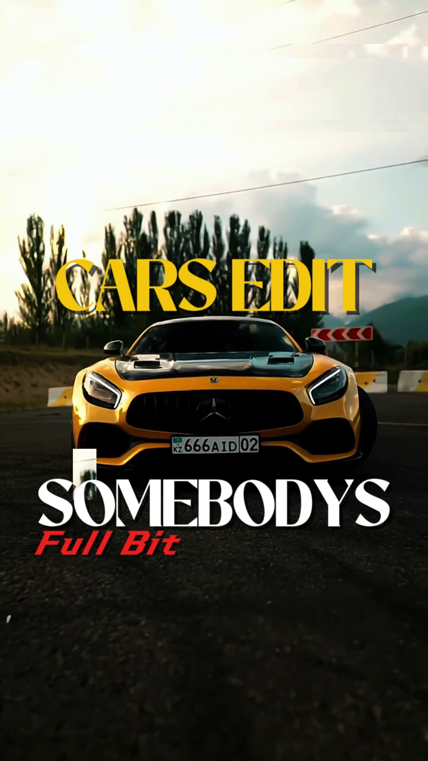 SOMEBODYS