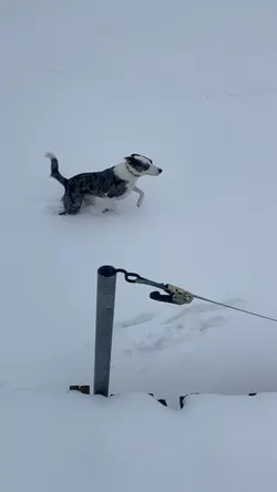 Snow!