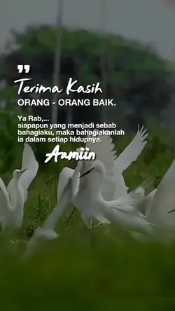 Terimakasih 