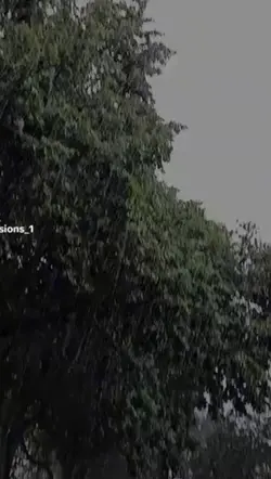 Folgt mir gerne rein