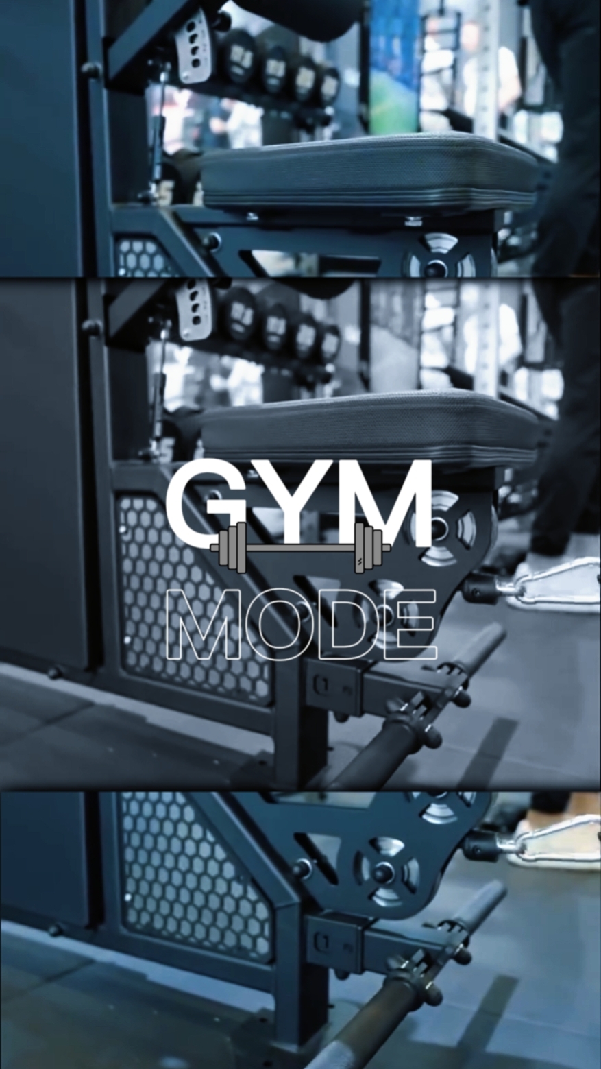 Modo gimnasio