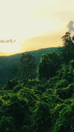 Bình yên sớm mai