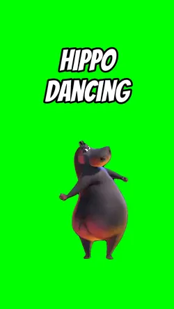 Hippo dancing