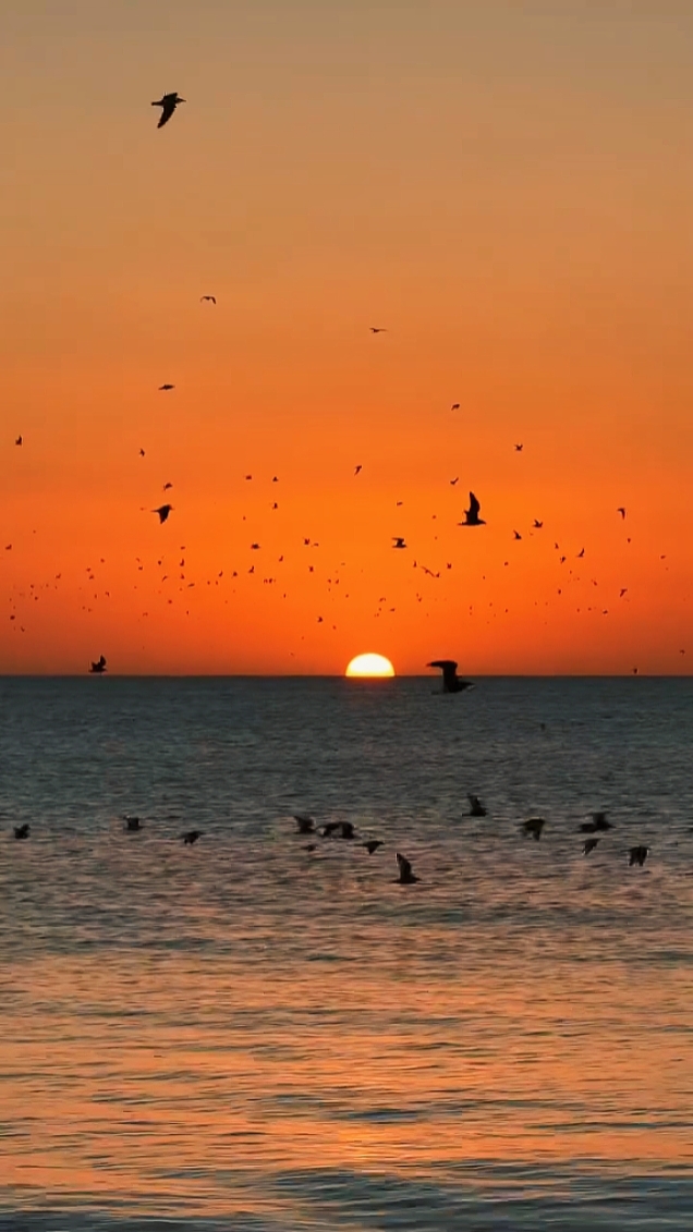 Clips de verano 14
