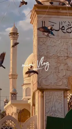 mini vlog