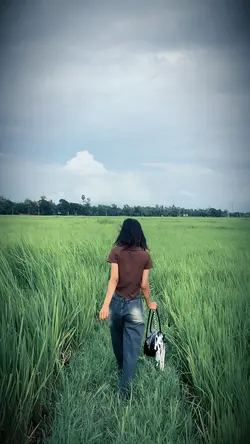 1 Video+ 7photo