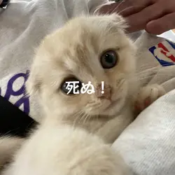 しぬ！