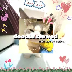 DLOODLE SHOWED 