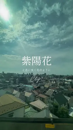 紫陽花