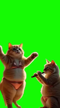 Cat Dancing Meme