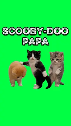 SCOOBY-DOO PAPA CATS