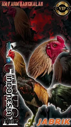 logo ayam laga
