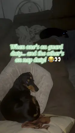 The Side eye & nap👁️😴