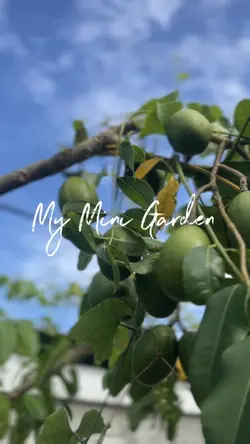Mini Garden Vlog 🪴