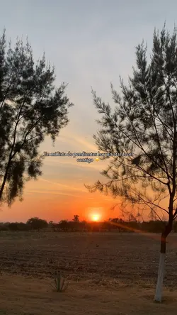 Un atardecer contigo